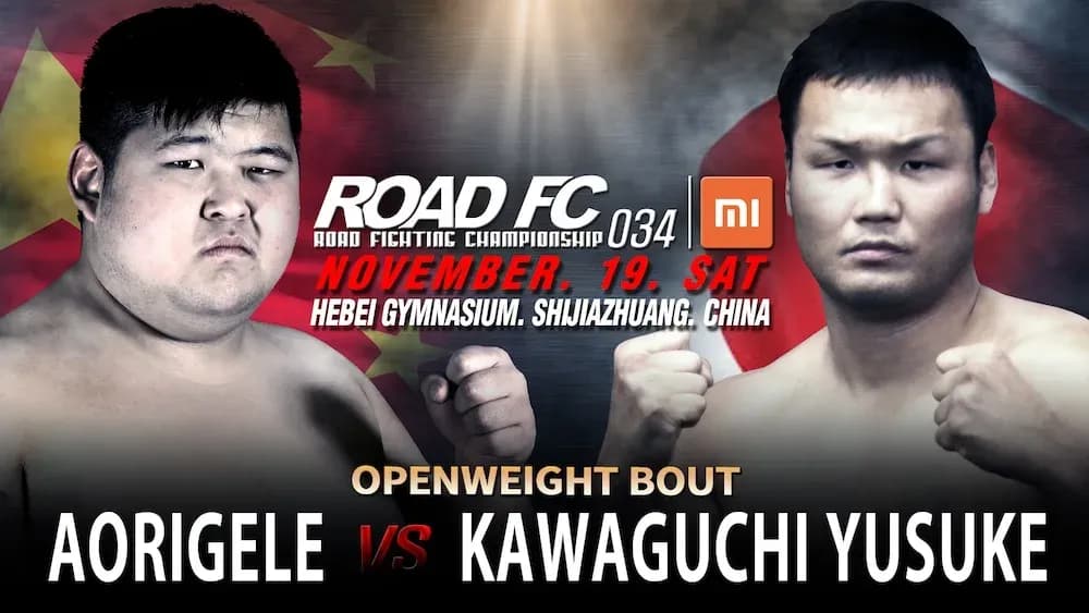 MMA article image