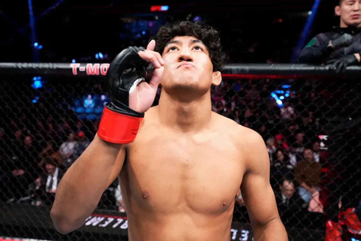 MMA article image