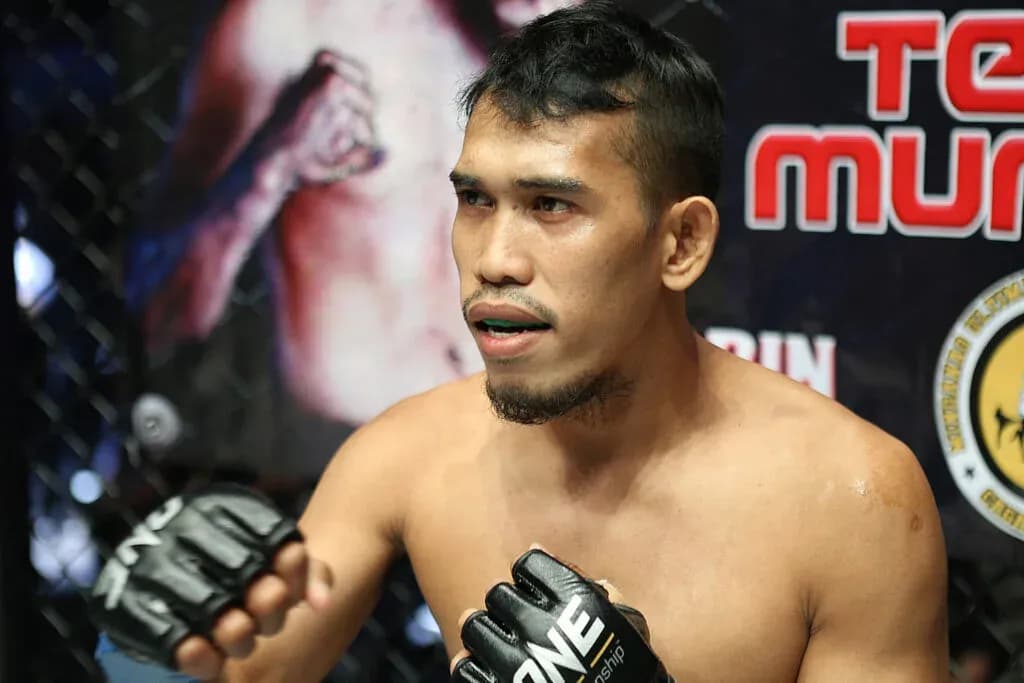 MMA article image