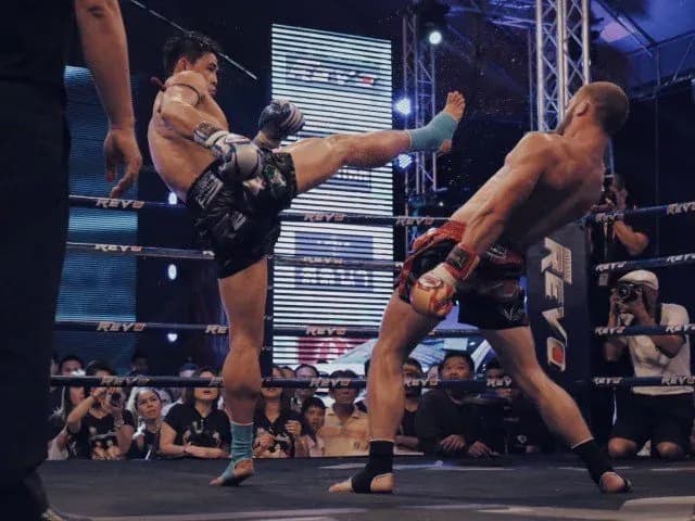 MMA article image