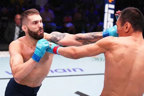 MMA article image