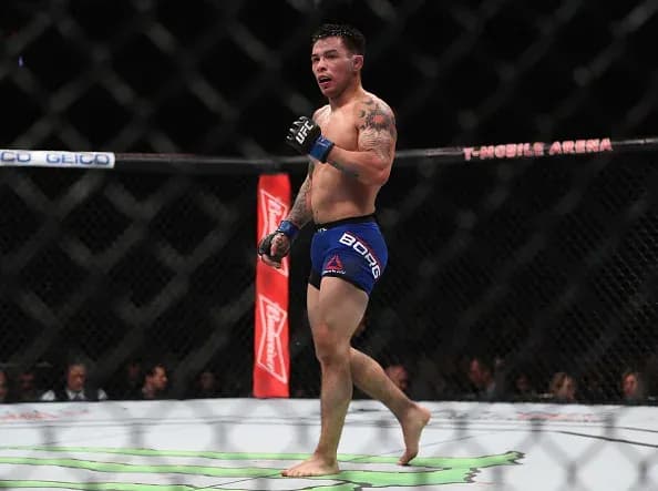 MMA article image