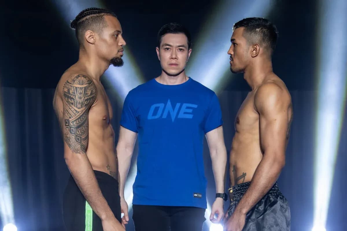 MMA article image