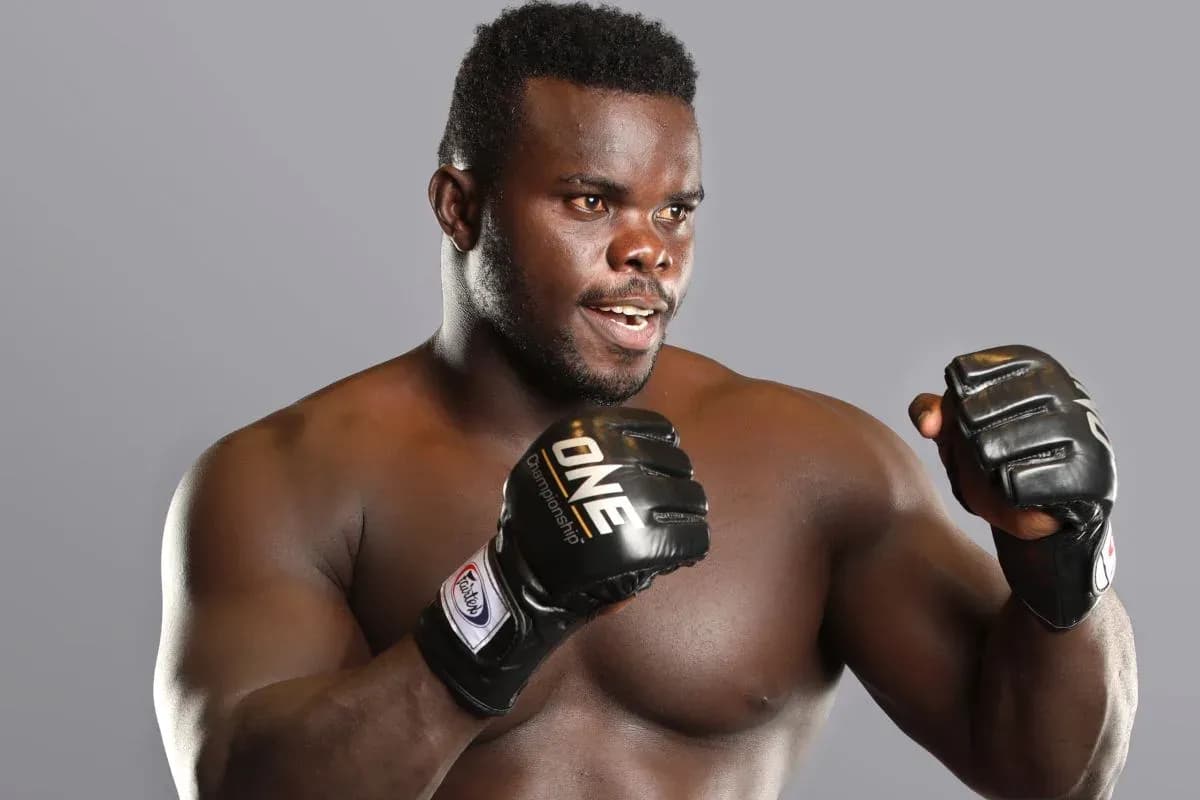 MMA article image