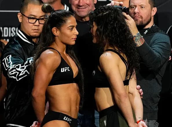 MMA article image