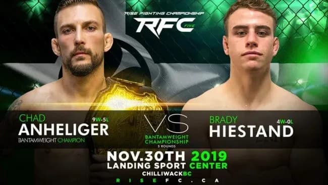 MMA article image