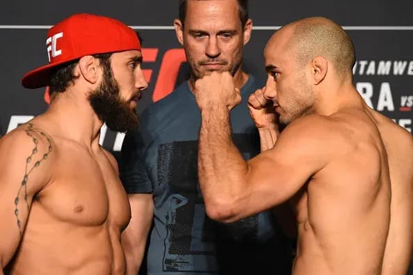 MMA article image