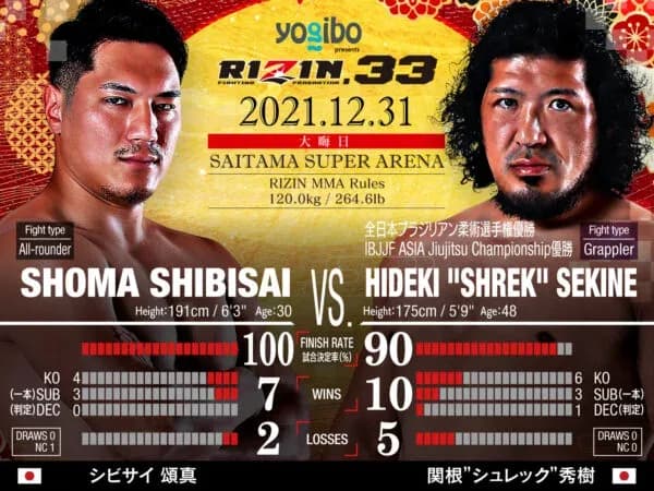 MMA article image