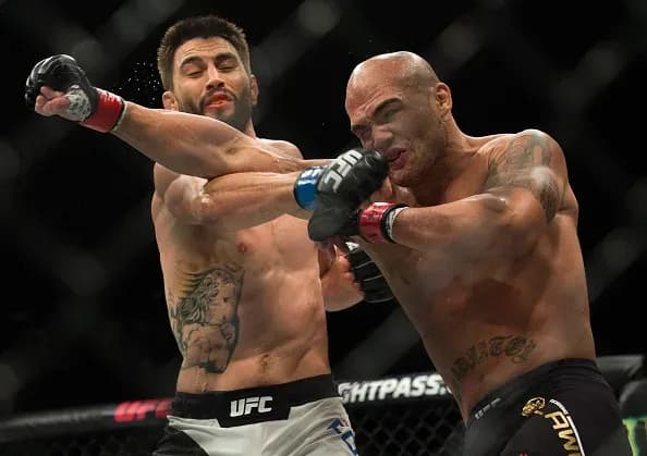 MMA article image