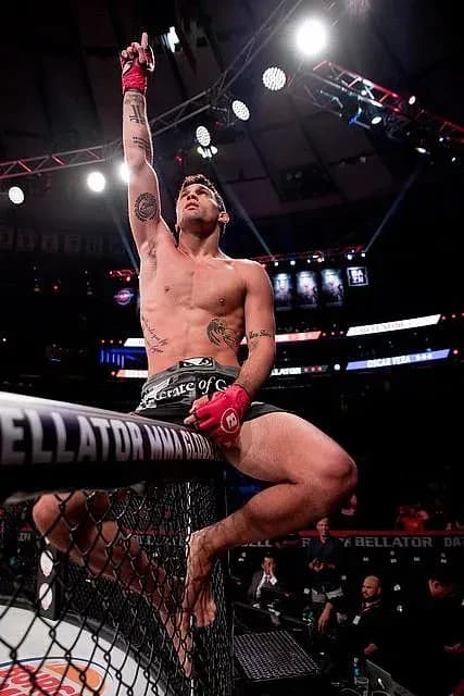 Robson Gracie Jr