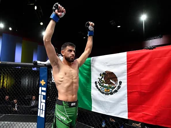 MMA article image