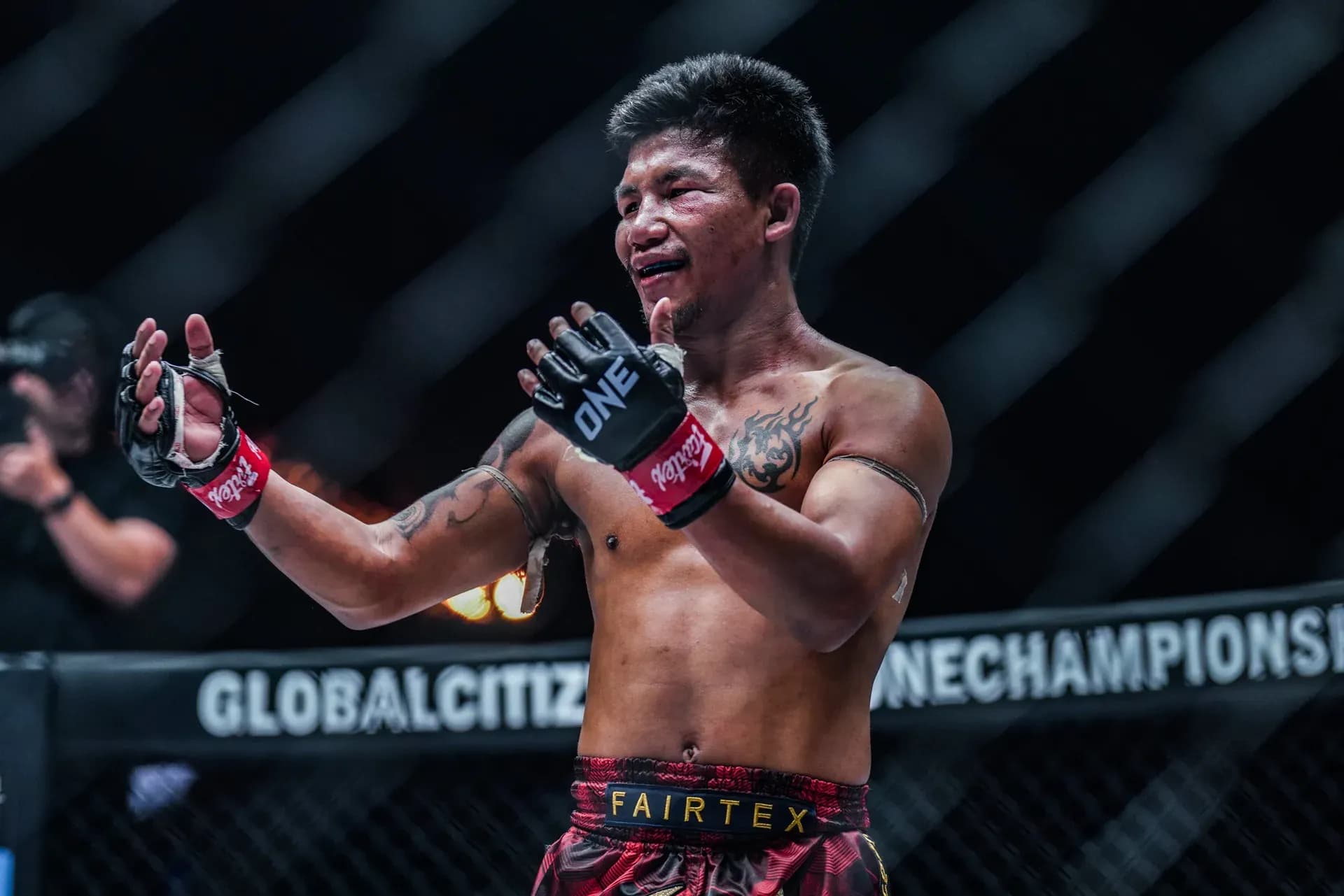 MMA article image