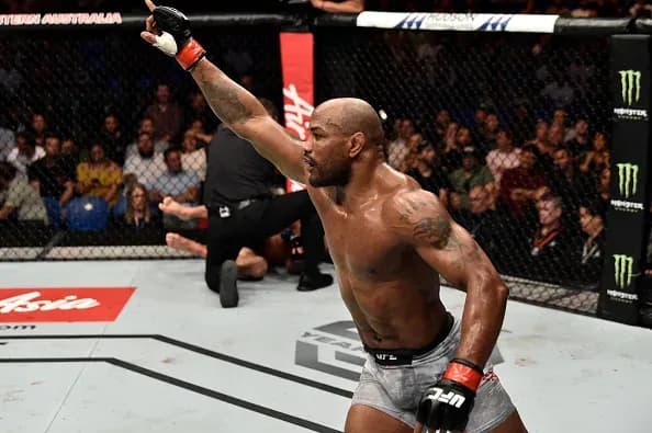 MMA article image