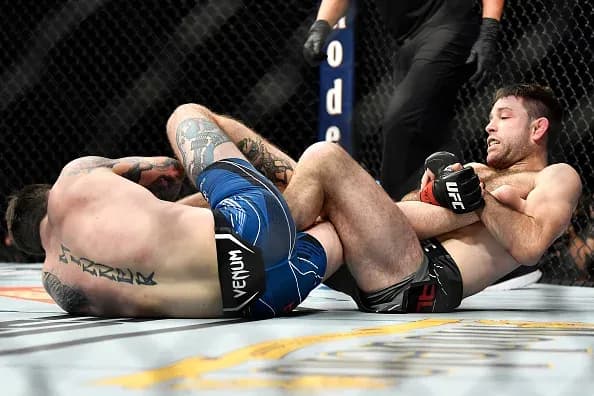 MMA article image