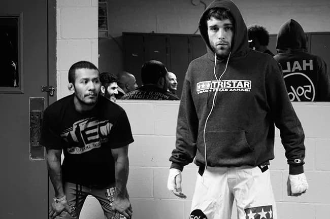 MMA article image