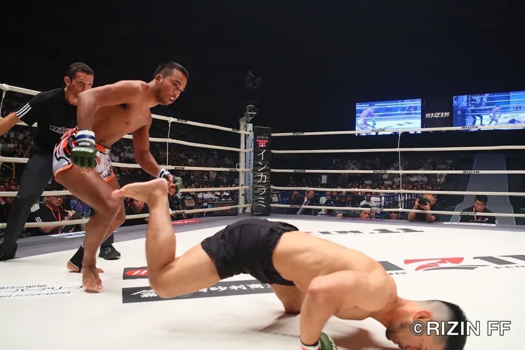 MMA article image