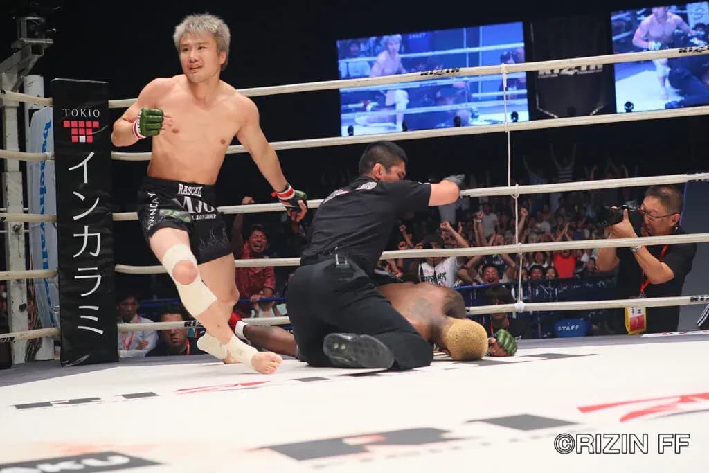 MMA article image