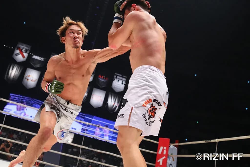 MMA article image