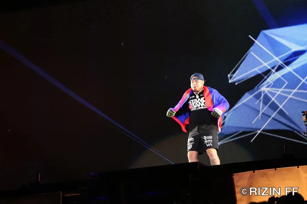 MMA article image