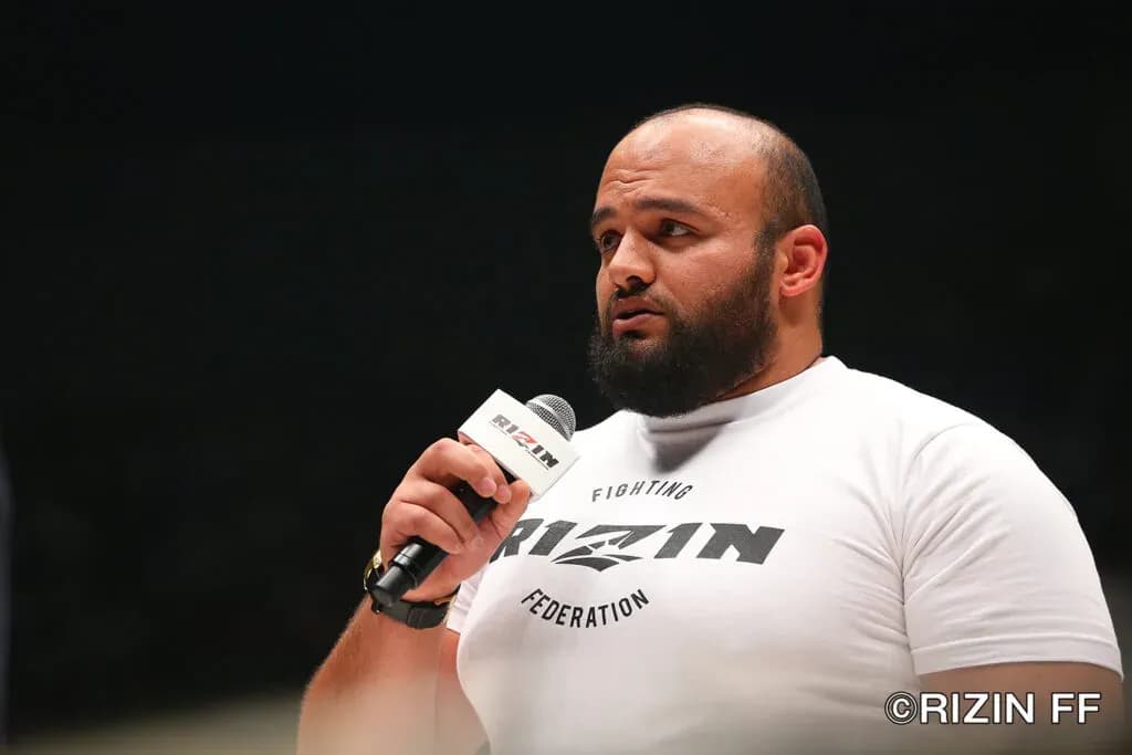 MMA article image