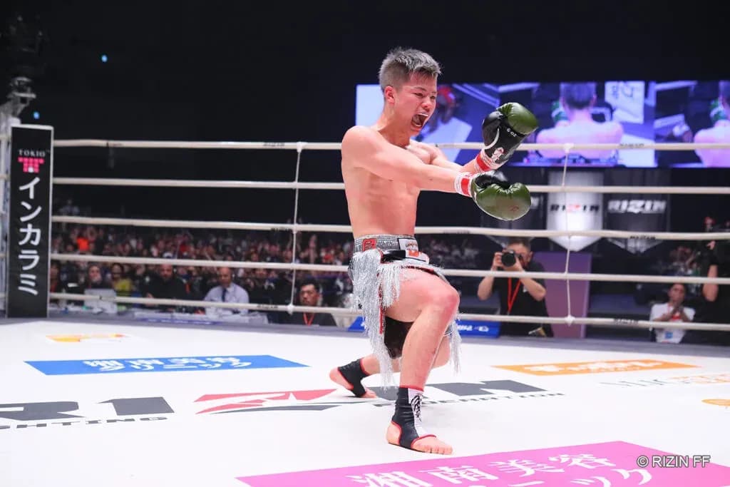 MMA article image