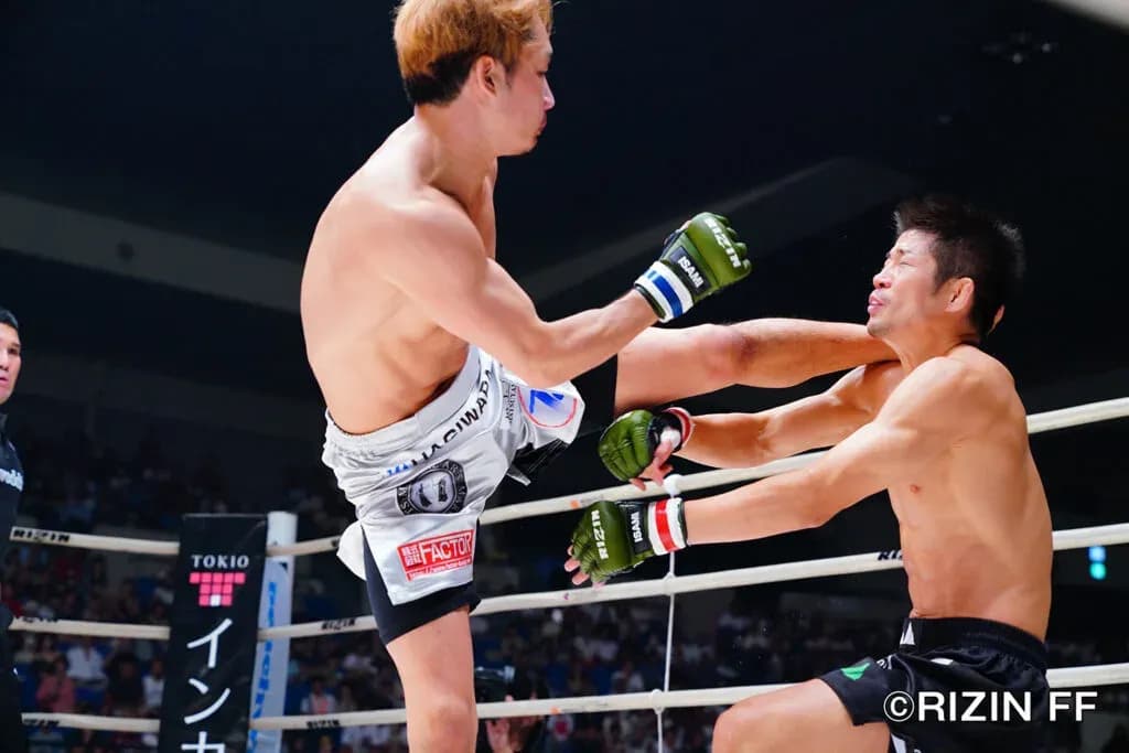 MMA article image