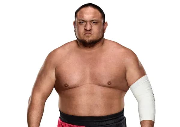 MMA article image
