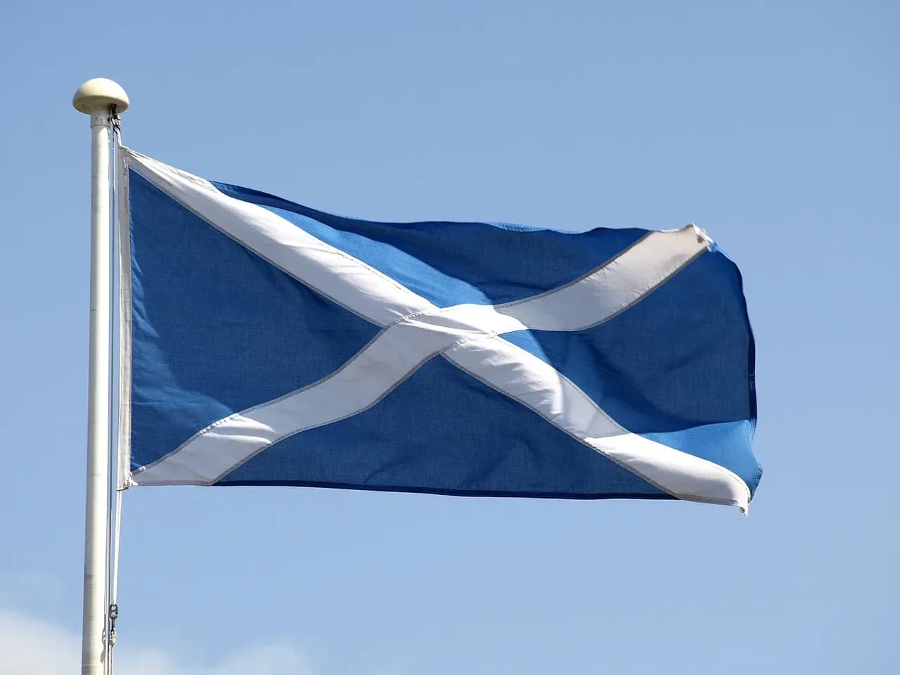 Scotland Sumo