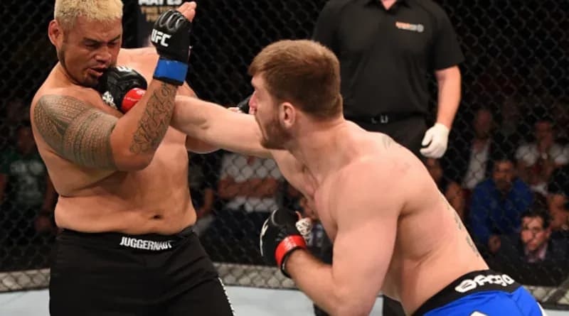 MMA article image