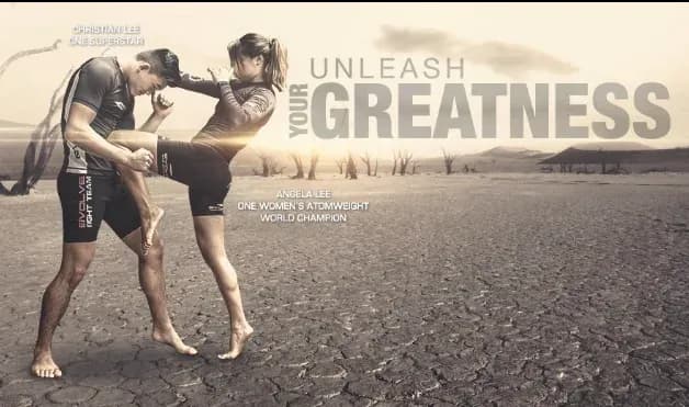MMA article image