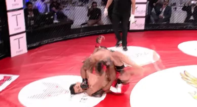 MMA article image
