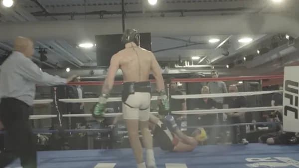 MMA article image
