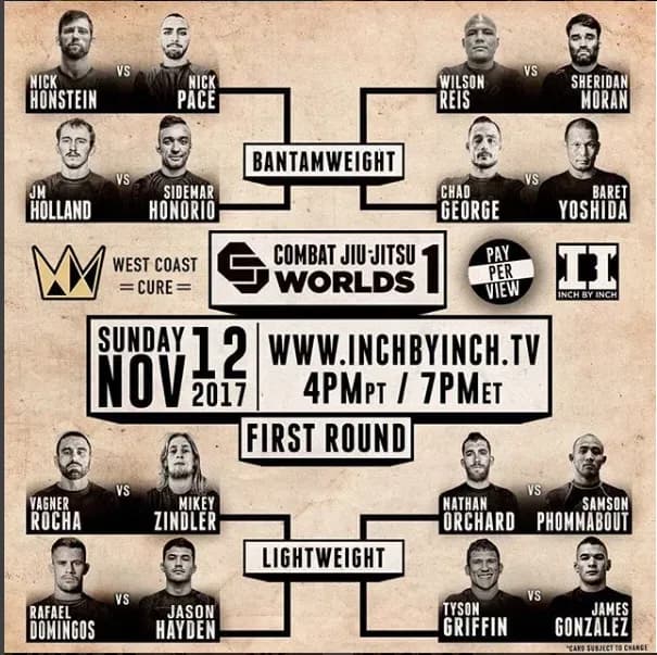 MMA article image