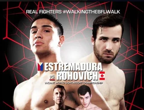 MMA article image