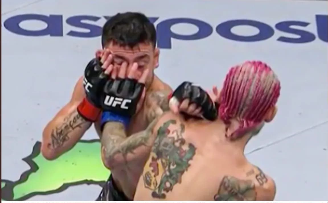 Sean O'Malley vs Pedro Munhoz UFC 276 Recap