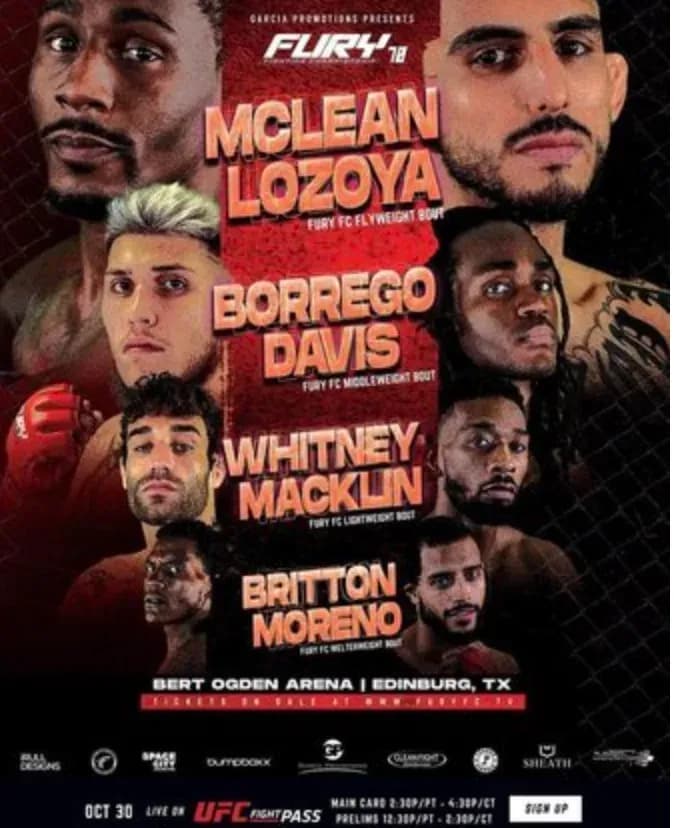 MMA article image