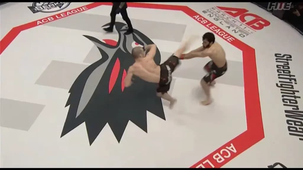 MMA article image