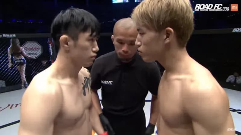 MMA article image