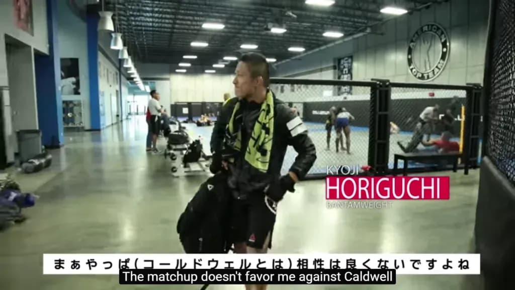 MMA article image