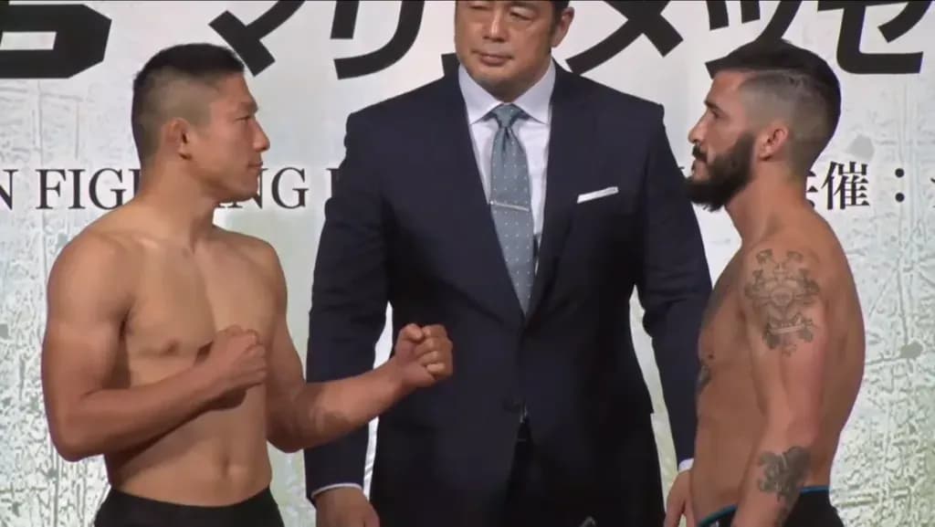MMA article image