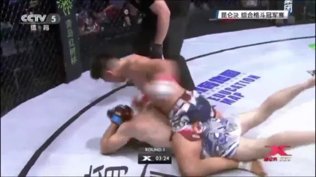MMA article image