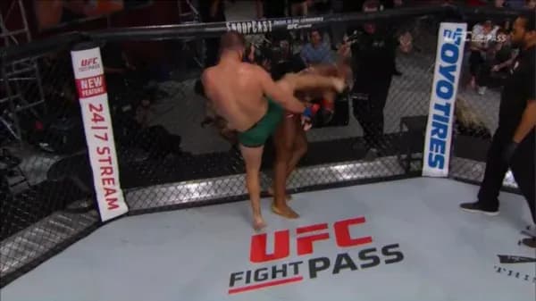 MMA article image