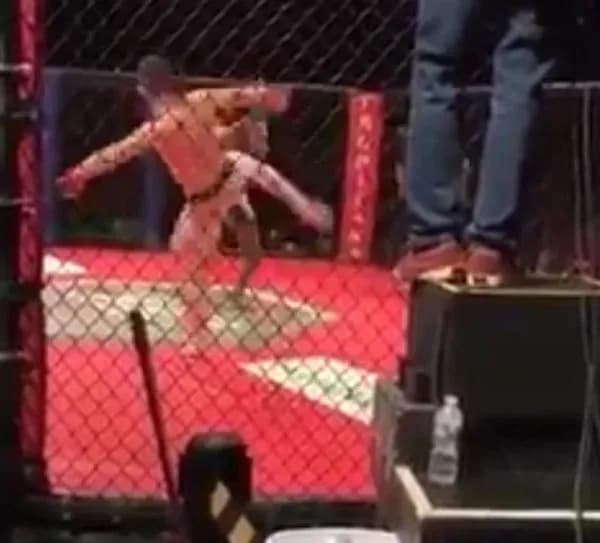 MMA article image