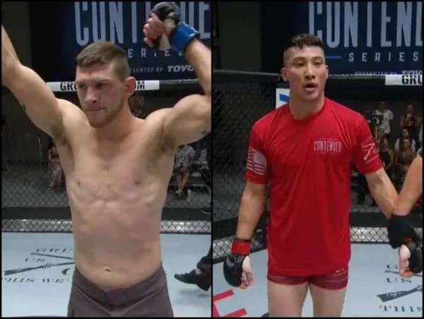 MMA article image