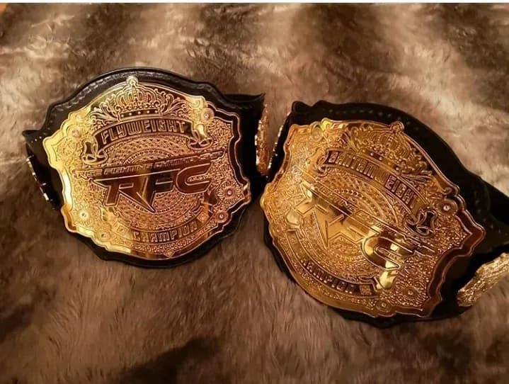 MMA article image