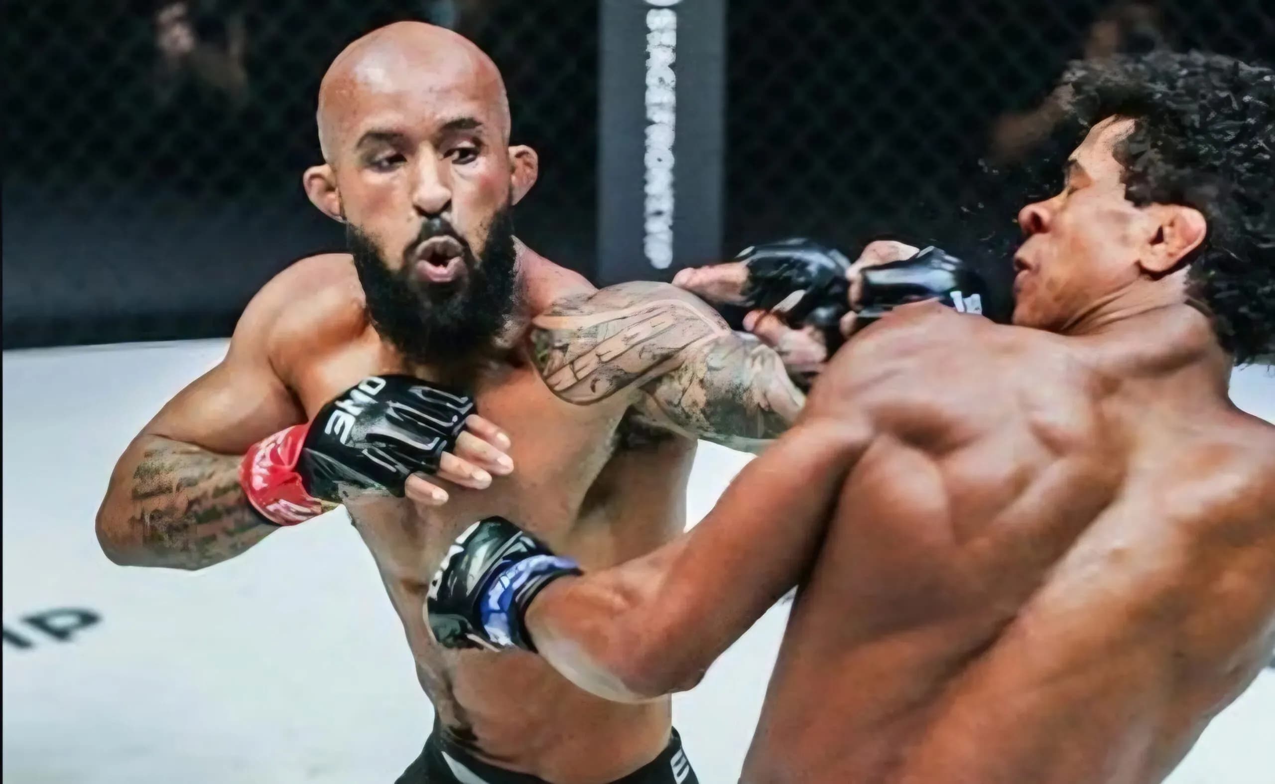 MMA Fighters who retired in 2024