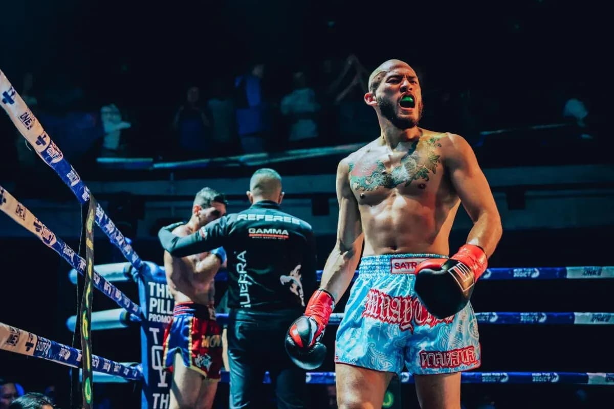 MMA article image