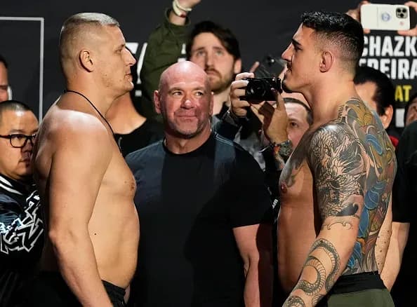 UFC 295