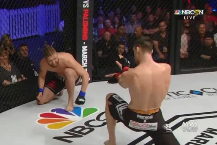 MMA article image