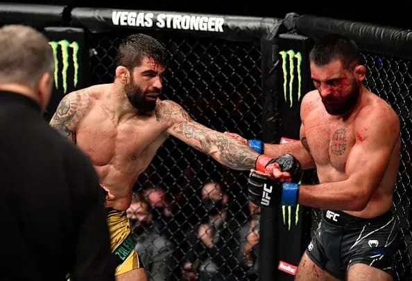 MMA article image